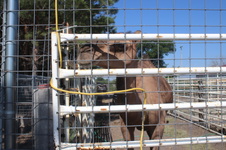 Enlarge photo 14