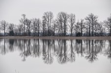 Enlarge photo 41