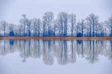 Enlarge photo 42