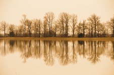 Enlarge photo 43