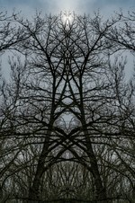 Enlarge photo 23