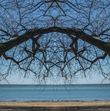 Creative Photography