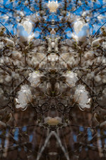 Enlarge photo 24