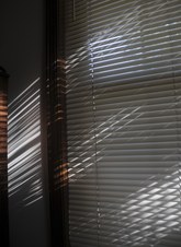 Enlarge photo 49