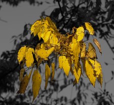Enlarge photo 31