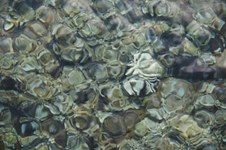 Enlarge photo 58