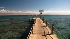 Enlarge photo 57