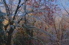 Enlarge photo 50