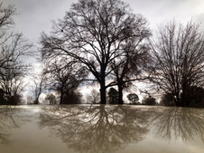 Enlarge photo 37