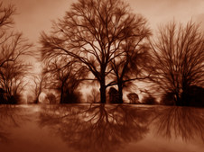 Enlarge photo 39