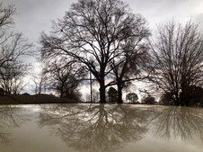 Enlarge photo 29