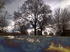 Enlarge photo 38