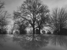 Enlarge photo 40