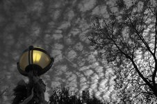 Enlarge photo 45