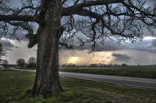 Enlarge photo 53