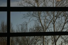 Enlarge photo 63