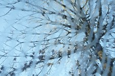 Enlarge photo 62
