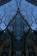 Enlarge photo 18