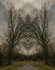 Enlarge photo 78