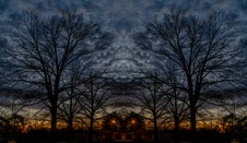 Enlarge photo 79
