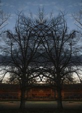 Enlarge photo 80
