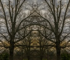 Enlarge photo 81