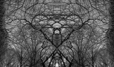 Enlarge photo 25