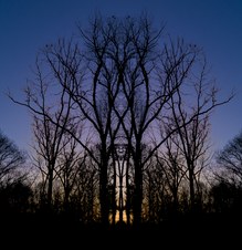 Enlarge photo 26