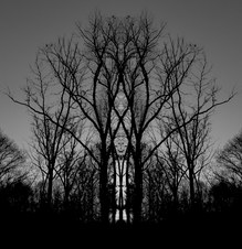Enlarge photo 24