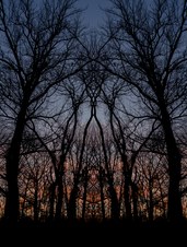 Enlarge photo 21