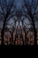 Enlarge photo 28