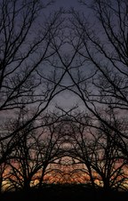 Enlarge photo 29
