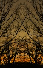 Enlarge photo 32