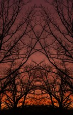 Enlarge photo 31