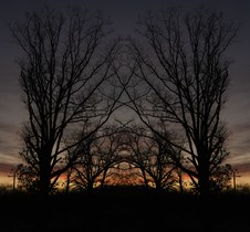 Enlarge photo 30