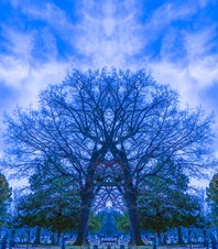 Enlarge photo 40