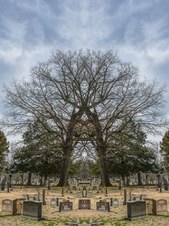 Enlarge photo 38