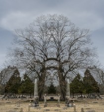 Enlarge photo 34