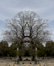 Enlarge photo 43