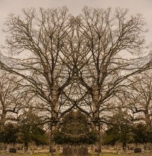 Enlarge photo 44