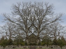 Enlarge photo 47