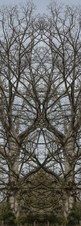 Enlarge photo 49