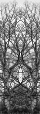 Enlarge photo 48