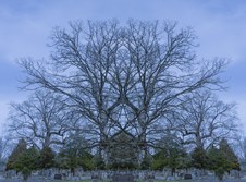 Enlarge photo 46