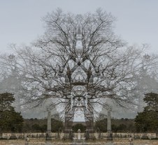 Enlarge photo 53