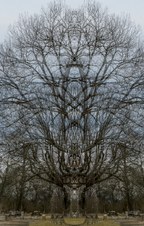 Enlarge photo 52