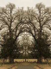 Enlarge photo 57