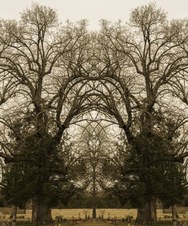 Enlarge photo 56