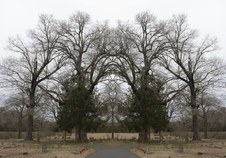 Enlarge photo 59