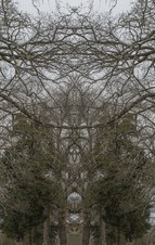 Enlarge photo 62